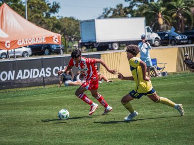 Necaxa