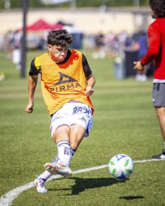 Necaxa