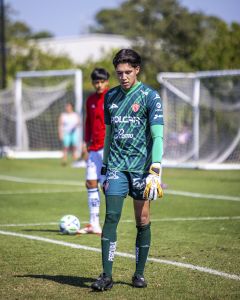Necaxa