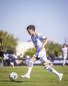Necaxa