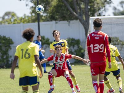 Necaxa