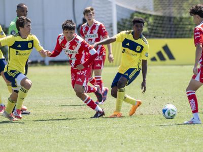 Necaxa