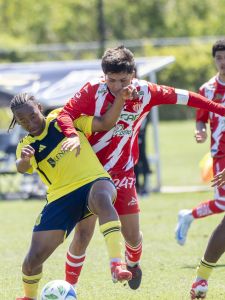 Necaxa