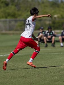 Toluca
