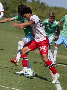 Toluca