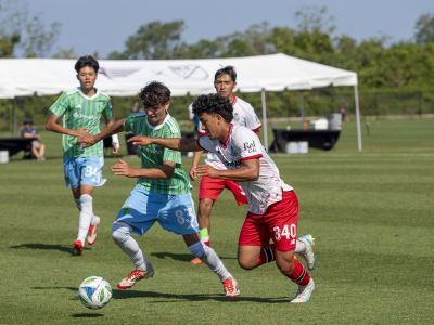 Toluca