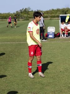 Toluca