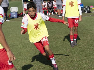 Toluca