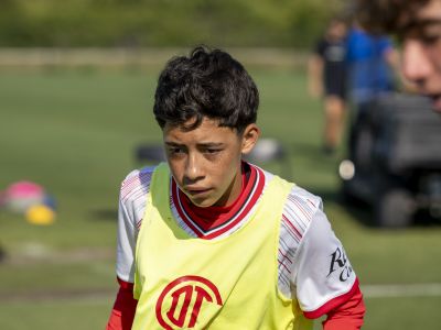 Toluca