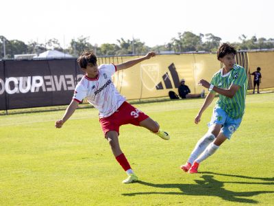 Toluca
