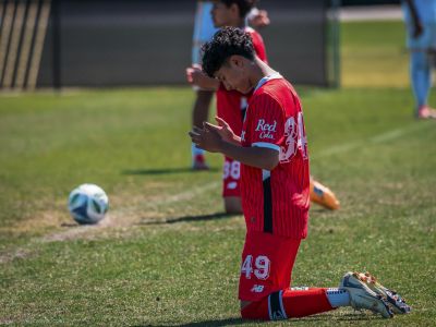 Toluca