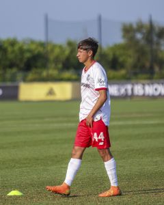 Toluca