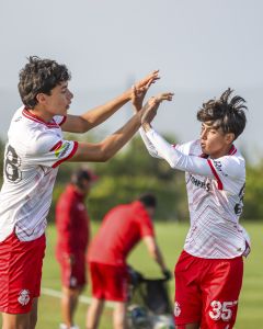 Toluca