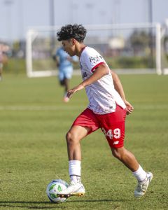 Toluca