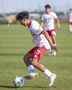 Toluca