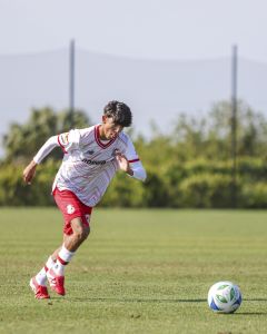 Toluca