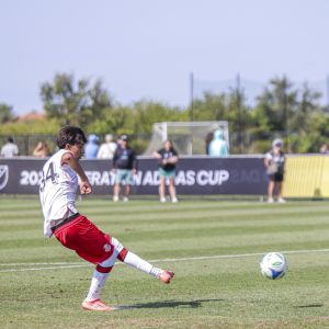 Toluca