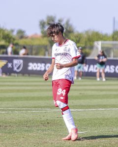 Toluca