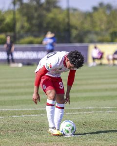 Toluca