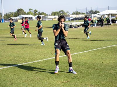 Santos de Laguna