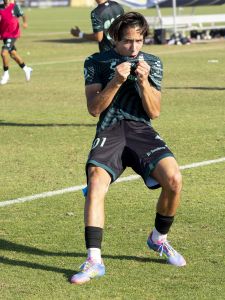 Santos de Laguna