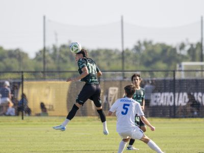 Santos de Laguna