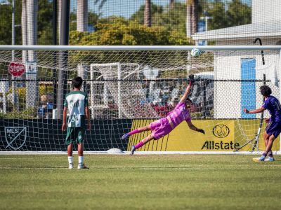 Santos de Laguna