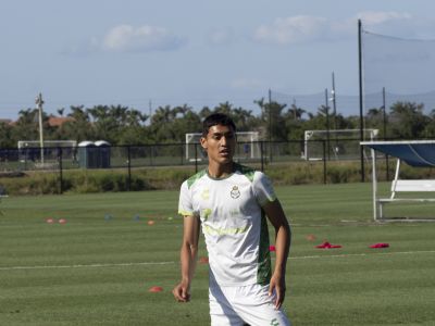 Santos de Laguna
