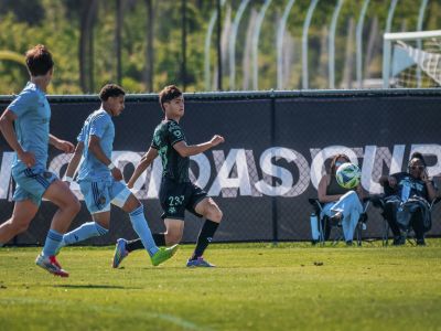 Santos de Laguna